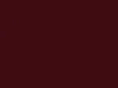 Rosso Barolo Metallic touch-up paint for Alfa Romeo 159, code 583A, 2009