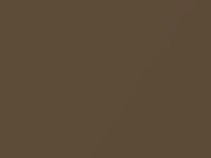 Copper Metallic touch-up paint for Nissan, code C10, 2006