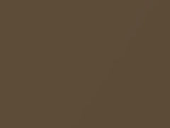 Copper Metallic touch-up paint for Nissan, code C10, 2006