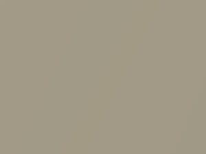 Blonde Maple Metallic touch-up paint for Volkswagen Routan, code 3100, FKG + alternatives, 2009