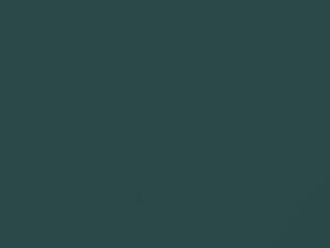 Capri Sea Metallic touch-up paint for Toyota, code 779, 2011