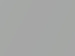 Alpine Silver Metallic touch-up paint for Toyota, code 199, U199, 2015