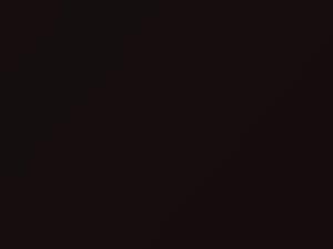 Volkswagen Black Ruby touch up paint A3K 2019 All Models