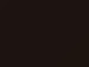 Deep Espresso Brown Metallic touch-up paint for Buick, code 204V, GYO, WA204V, 2017