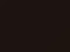 Deep Espresso Brown Metallic touch-up paint for Buick, code 204V, GYO, WA204V, 2015