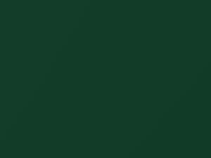 Racing Green Metallic touch-up paint for Lotus, code B86, 2011