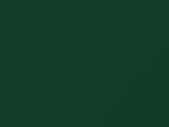 Racing Green Metallic touch-up paint for Lotus, code B86, 2011
