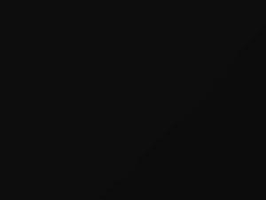 Audi Brilliant Black touch up paint 9004 2017 Q5