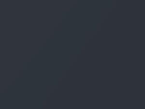 BMW Anthracite Metallic touch up paint 397 2003 All Models