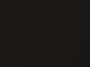 Mercedes-Benz S Class Designo Mocha Black Metallic touch up paint 0033 2006 ClassS