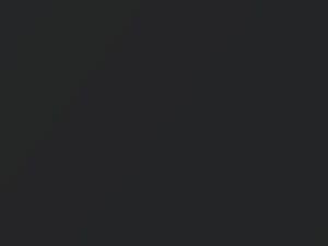 Mercedes-Benz Germanit Grau Metallic touch up paint 494 2004 All Models