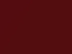 Red Rock Mica touch-up paint for Isuzu, code 872, R501P902-0, 1999