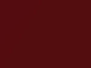 Red Rock Mica touch-up paint for Isuzu Trooper, code 872, R501P902-0, 1995
