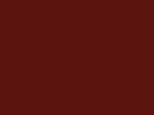 BMW Siena Red Metallic touch up paint 362 2002 X5