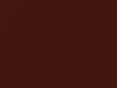 Copper Metallic touch-up paint for Cadillac, code 381E, 69, WA381E, 2000