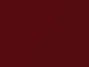Infra Red Metallic touch-up paint for Ford, code 2R5E, 2R5EWWA, 638, 2002