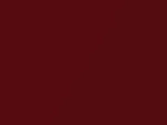 Infra Red Metallic touch-up paint for Ford, code 2R5E, 2R5EWWA, 638, 2002