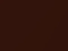 Bronze Fire Metallic touch-up paint for Ford, code H9, M7327, M7327A, 2017