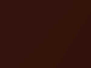 Bronze Fire Metallic touch-up paint for Ford, code H9, M7327, M7327A, 2017
