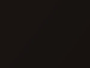 Black Bronze Pearl touch-up paint for Acura, code YR601P, 2016
