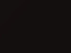 Black Granite Pearl touch-up paint for Subaru Baja, code 54A, 2003