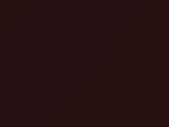 BMW Barbera Red Metallic touch up paint A39 2010 All Models