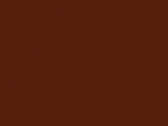 Autumn Copper Metallic touch-up paint for Infiniti, code A50, 2008