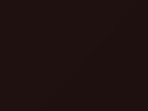Dark Brown Metallic touch-up paint for Mitsubishi, code C12, CMC10012, CWN, 2015