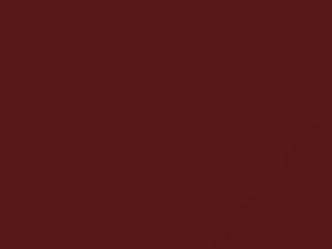 Bright Red Metallic touch-up paint for Ford, code D2, 1989
