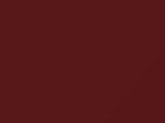 Bright Red Metallic touch-up paint for Ford, code D2, 1989