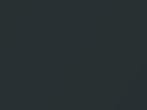 BMW Tasman Metallic touch up paint A81 2008 X6