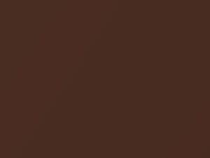 Golden Bronze Metallic touch-up paint for Ford Ecosport, code 7234, BTSEWHA, JQ, 2016
