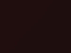 Claret touch-up paint for Rolls Royce, code 9510408, R48, YR48, 2008
