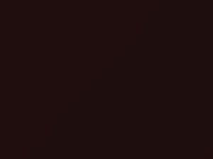 Claret touch-up paint for Rolls Royce, code 9510408, R48, YR48, 2008