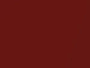 BMW Sedona Red Metallic touch up paint A79 2012 All Models