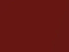 BMW 1 Series Sedona Red Metallic touch up paint A79 2012 1-SERIES