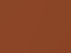Orange Metallic touch-up paint for Nissan, code RT2, 2001