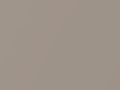 Light Prairie Tan Metallic touch-up paint for Ford Windstar, code 6818, BA, M6818, M6818A, 1998