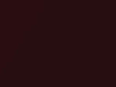 Rosso Brunello Metallic touch-up paint for Alfa Romeo 156, code 117B, 2005