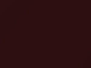 BMW Mahogany Brown Metallic touch up paint 436 2003 All Models