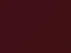 Audi Vogue Red Metallic touch up paint B3 2018 All Models