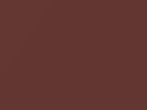 Copper Metallic touch-up paint for Toyota, code 4T9, 2015