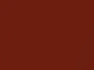 Autumn Sunburst Metallic touch-up paint for Nissan, code AR0, 2009