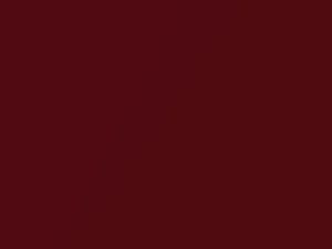 Ruby Red Metallic touch-up paint for Ford Ecosport, code 0FK, 454 + alternatives, 2013