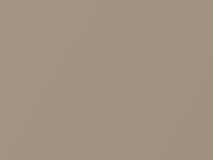 Cashmere Beige Metallic touch-up paint for Toyota Camry, code 4M9, 1998