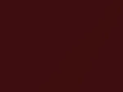 Nouveau Ruby Mica touch-up paint for Nissan Altima, code AX3, 2003