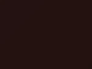 Rich Copper Metallic touch-up paint for Ford, code 7425, B6 + alternatives, 2021