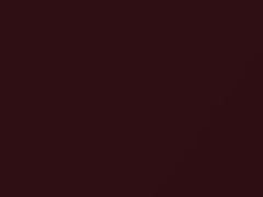 Bordeaux Red Metallic touch-up paint for Buick, code 204M, 49, WA204M, 2009