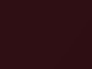 Bordeaux Red Metallic touch-up paint for Buick, code 204M, 49, WA204M, 2009
