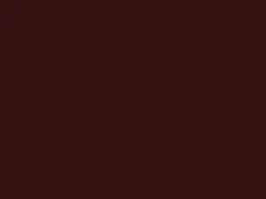 Van Dark Maple Metallic touch-up paint for Chevrolet Full Size, code 8800, WA8800, 1991
